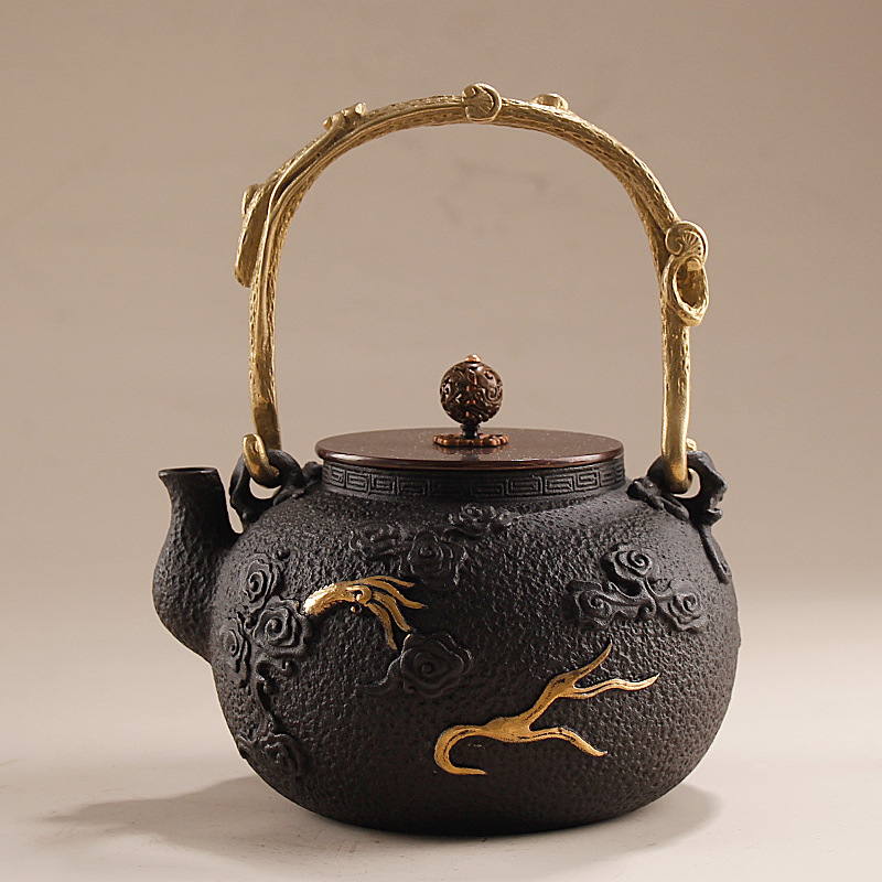 1,2L gietijzeren waterkoker/Go - Cast Iron Teapot recensie en prijs