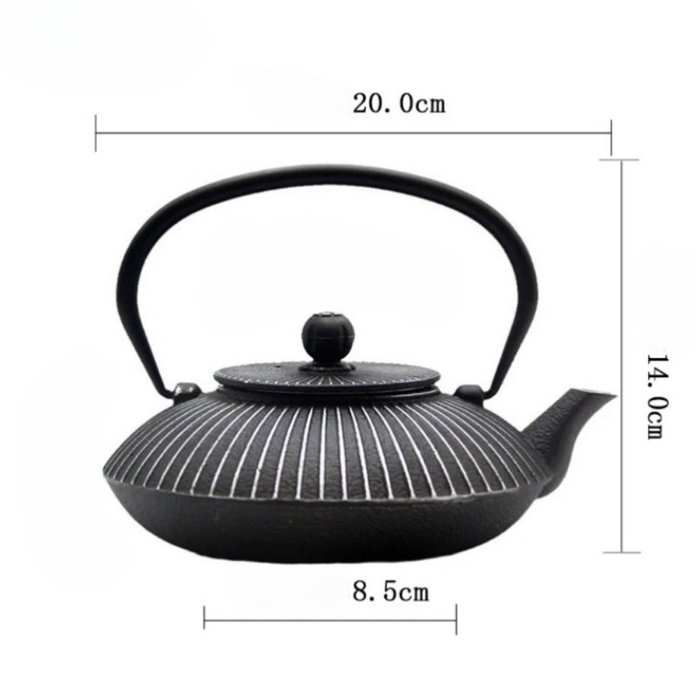 800ml gietijzeren theepot in p - Cast Iron Teapot recensie en prijs