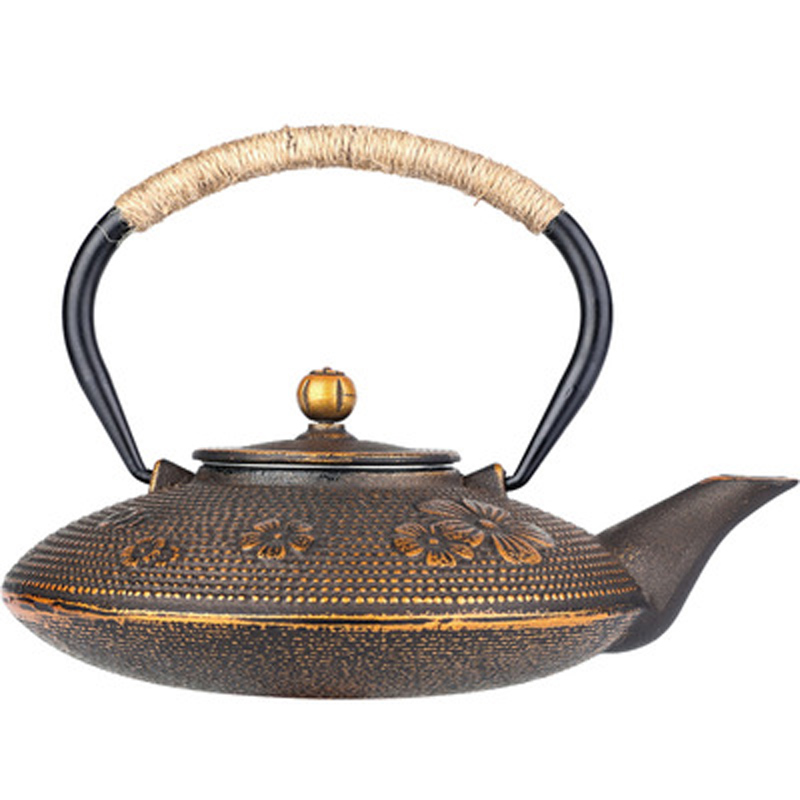 Gietijzeren peerbloesem bamboe - Cast Iron Teapot recensie en prijs