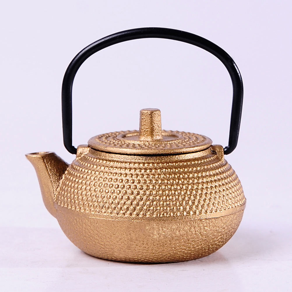 Roestvrije kleine gietijzeren  - Cast Iron Teapot recensie en prijs