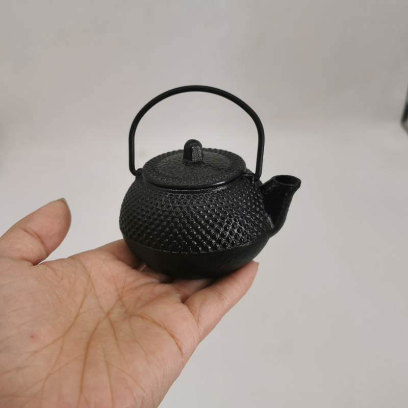 100ml Mini Japanse Tetsubin gi - Cast Iron Teapot recensie en prijs