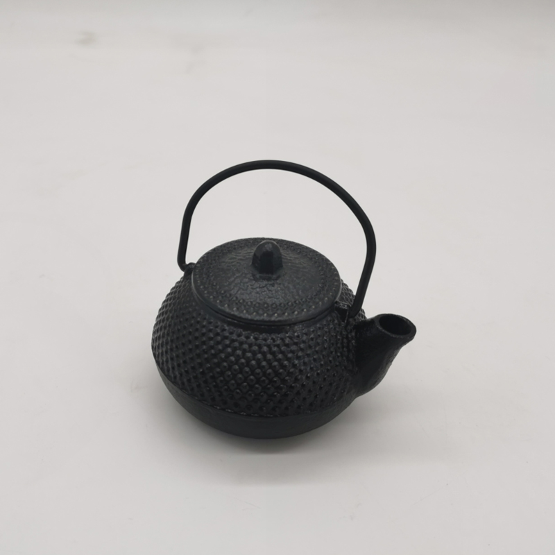 100ml Mini Japanse Tetsubin gi - Cast Iron Teapot recensie en prijs