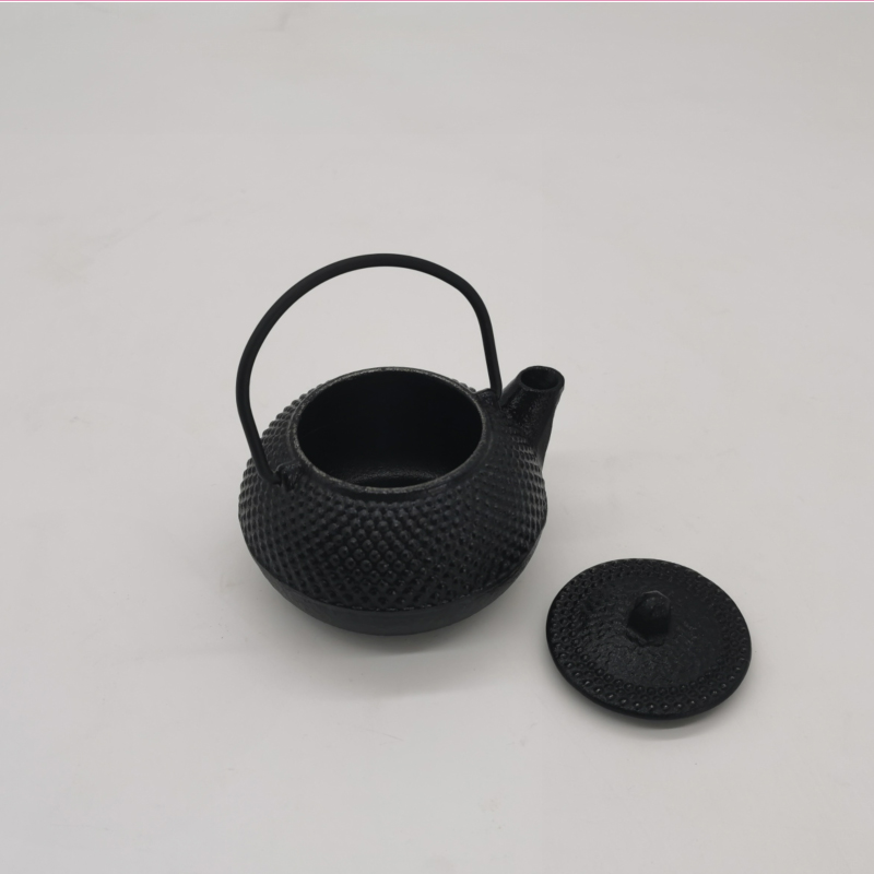 100ml Mini Japanse Tetsubin gi - Cast Iron Teapot recensie en prijs
