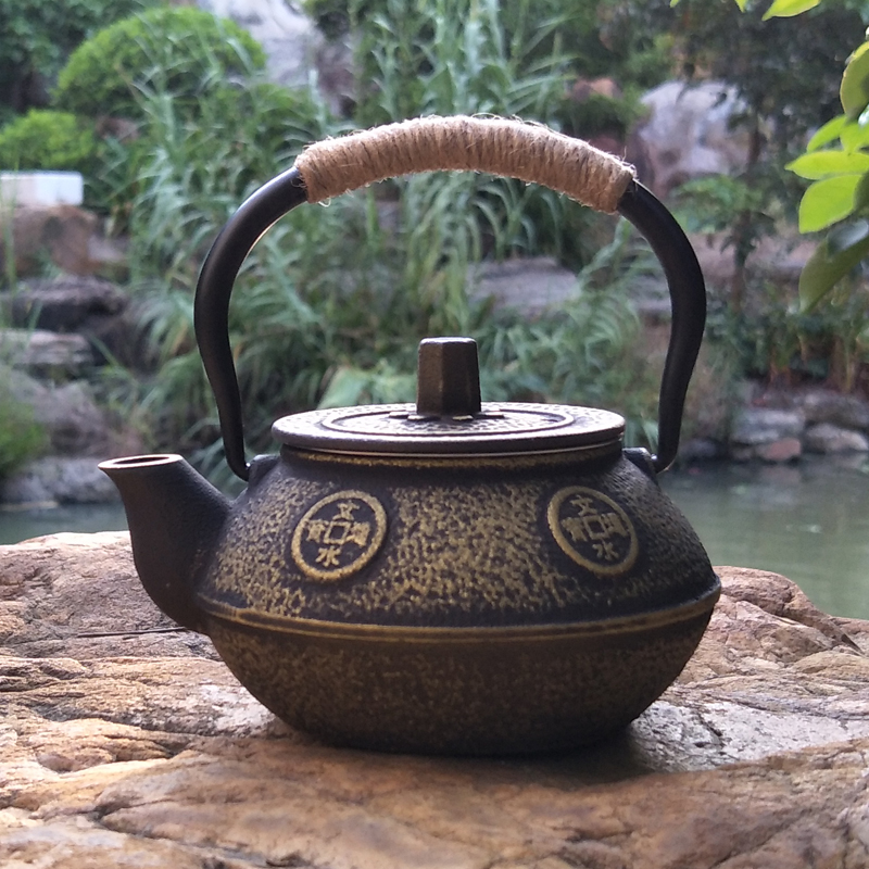 Gietijzeren Theepot Japanse Te - Cast Iron Teapot recensie en prijs