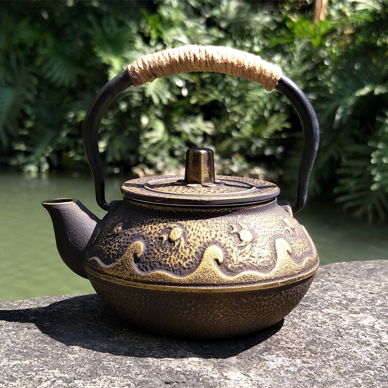 Gietijzeren Theepot Japanse Te - Cast Iron Teapot recensie en prijs