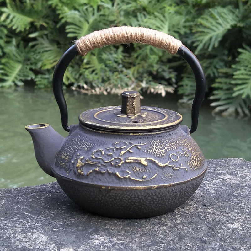 Gietijzeren Theepot Japanse Te - Cast Iron Teapot recensie en prijs