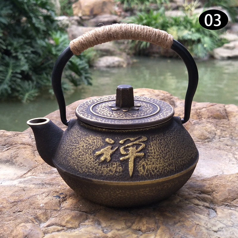 300ml Retro Japanse Gietijzere - Cast Iron Teapot recensie en prijs