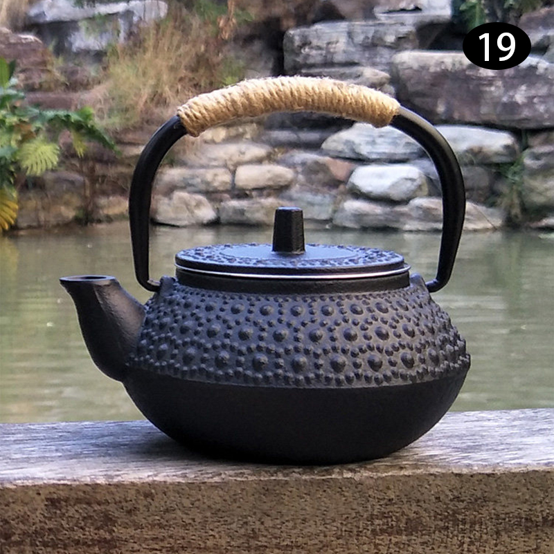 300ml Retro Japanse Gietijzere - Cast Iron Teapot recensie en prijs